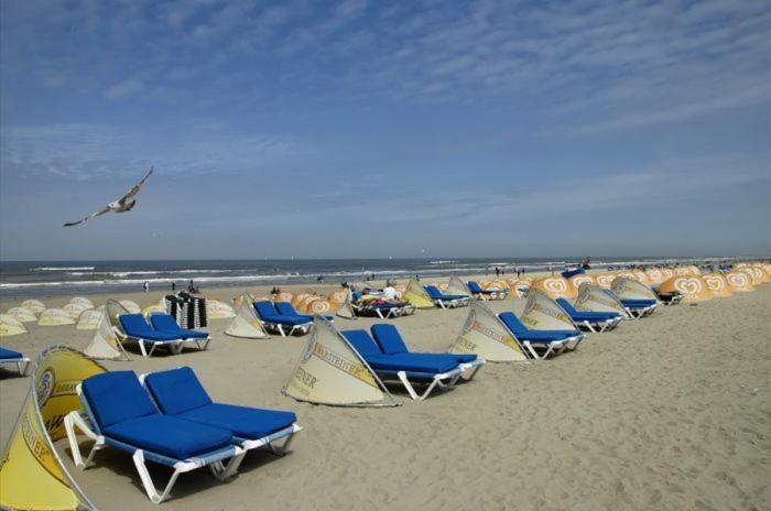 Ferienwohnung Life@Sea Zandvoort Exterior foto